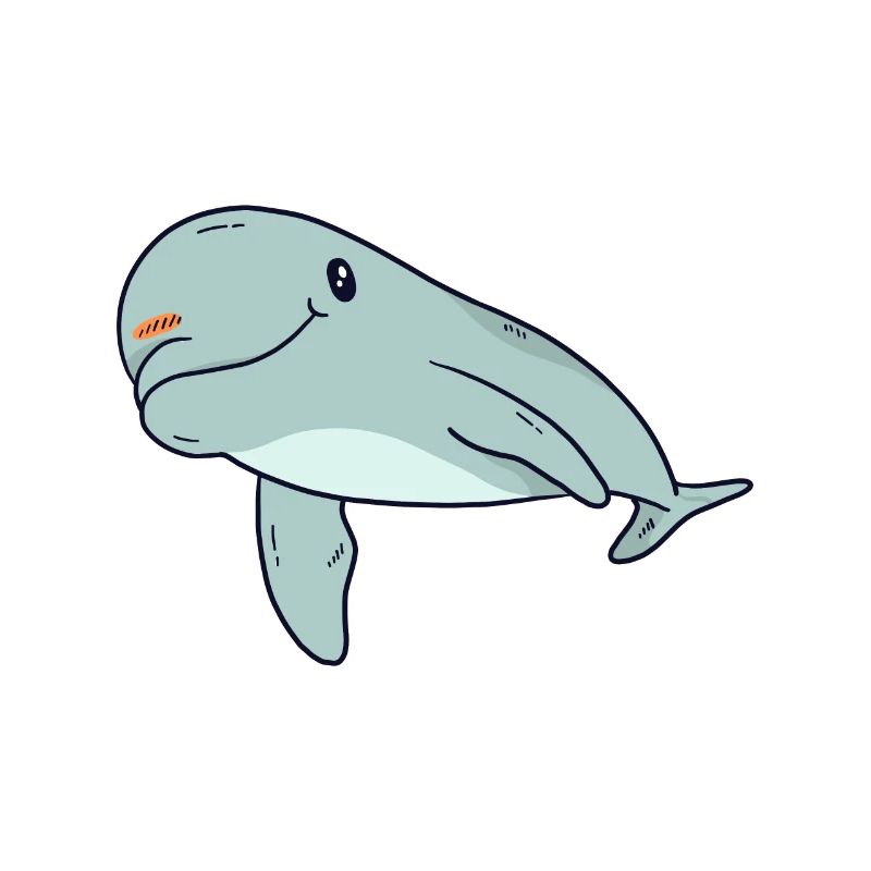 Delfin