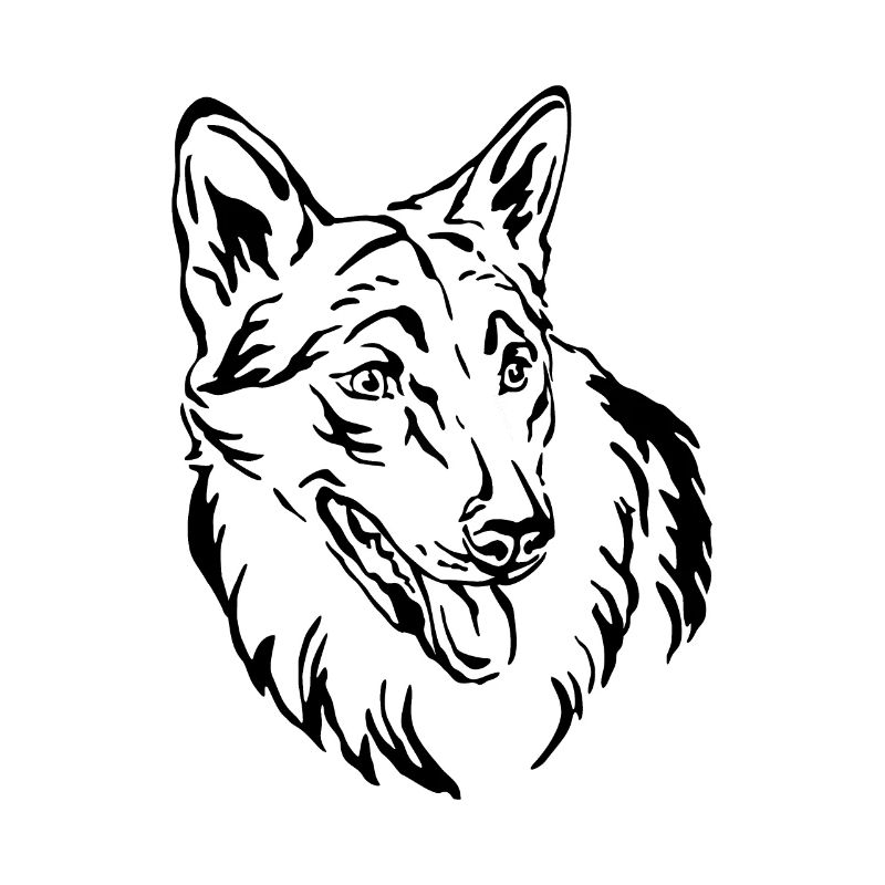 Tschechoslowakischer Wolfhund