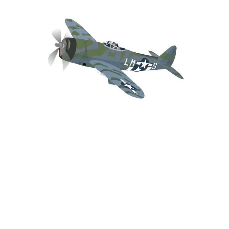 P47 Thunderbolt Aircraft