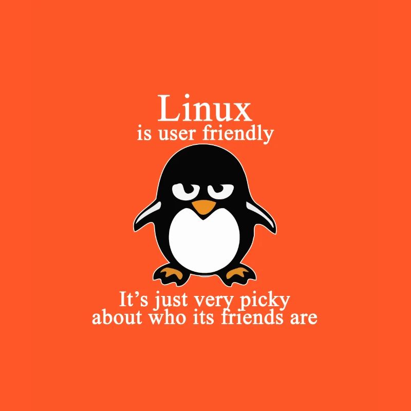 Programmation cadeau informatique · Convivial