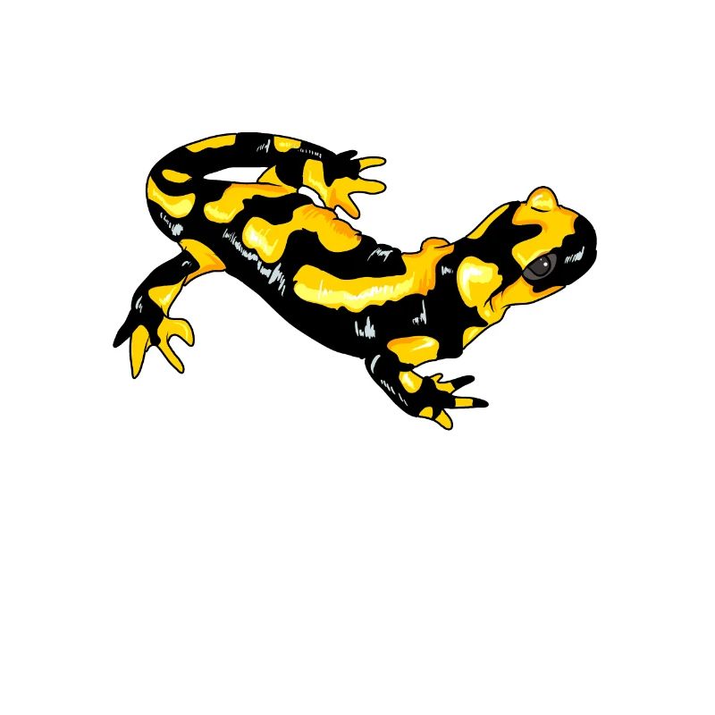 Feuersalamander Echte Salamander Feuermolch Lurch