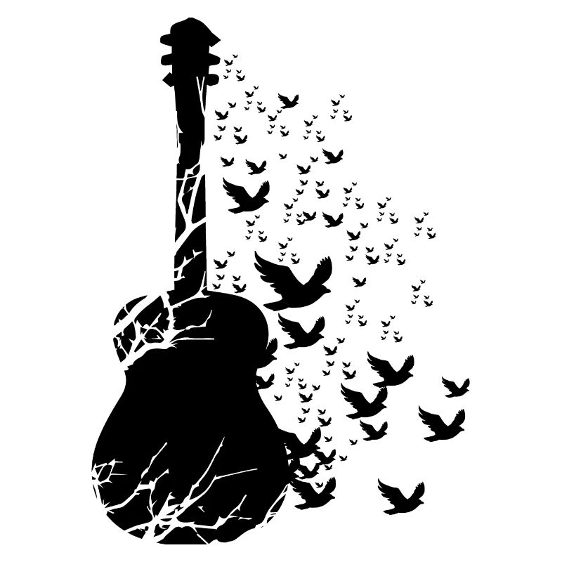 Guitariste guitariste