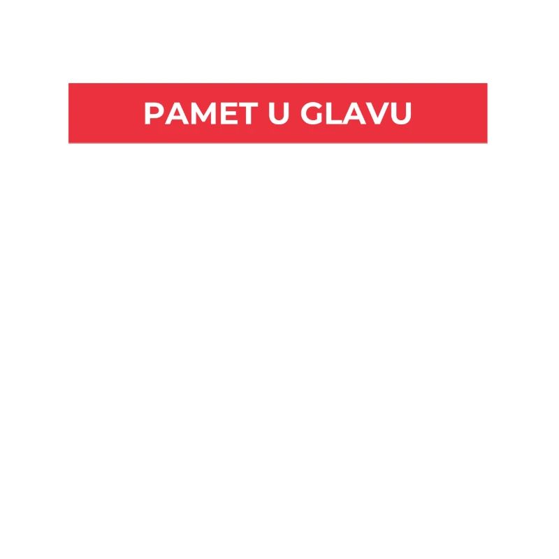 Pamet u glavu
