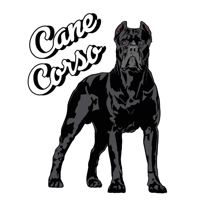 Cane Corso Molosser Mastiff Italien