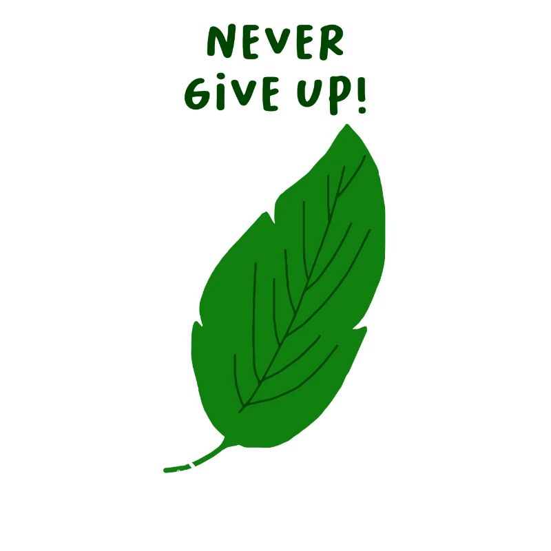 never give up