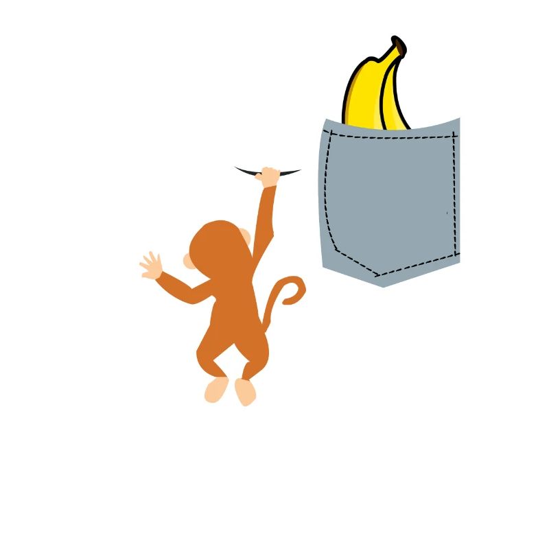 Singe dans une poche