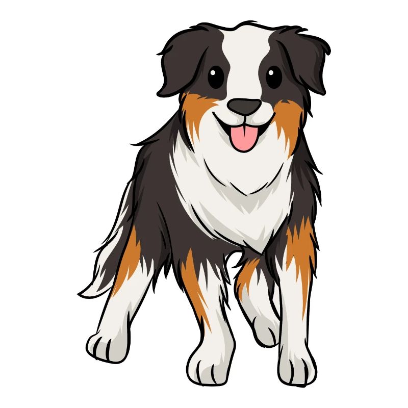 Australian Shepherd