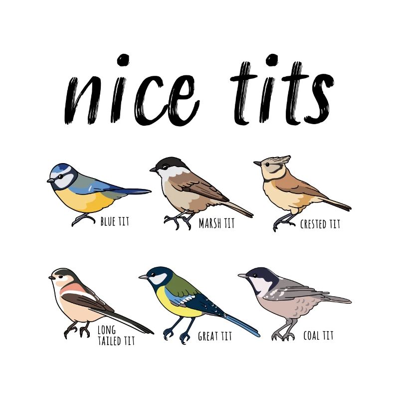 Bird watching Funny "nice tits" Gift