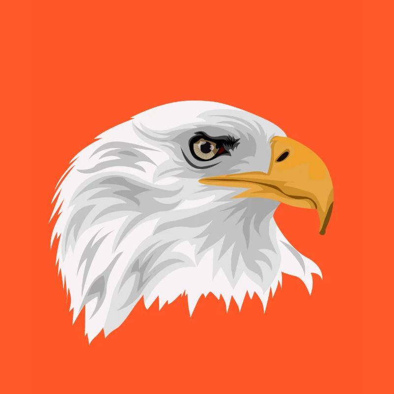 Bald eagle head with beak as a drawing