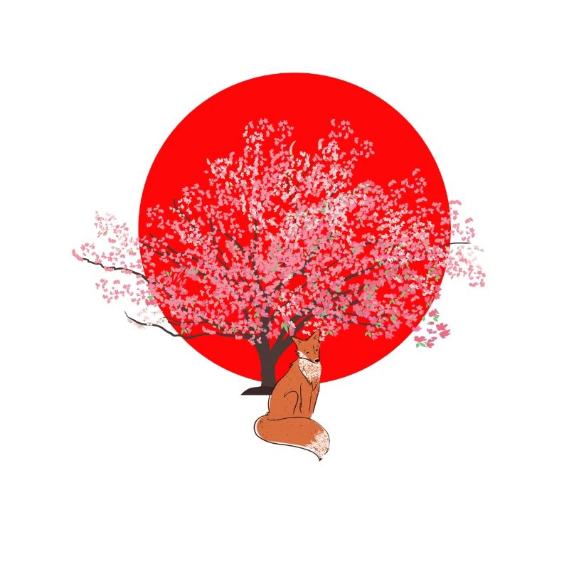 kirschblüte