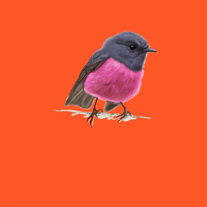 coole Vogel Pink Robin Geschenkidee