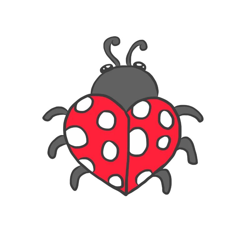 Marienkäfer Adoniskäfer Maikäfer Glückskäfer Glück