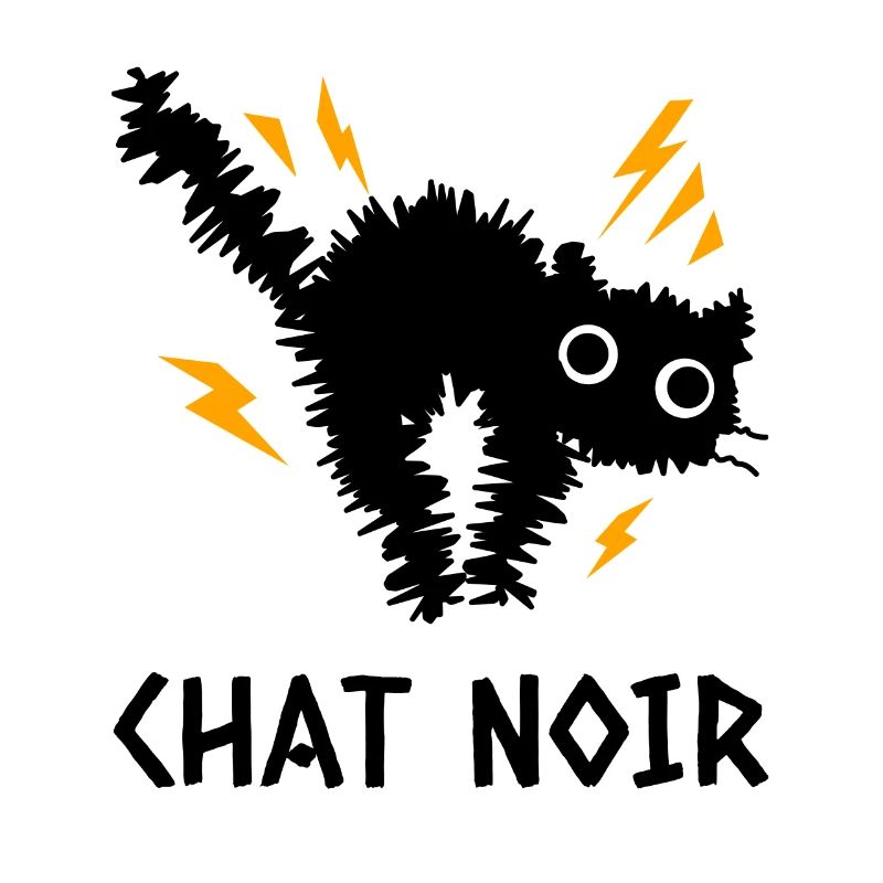 Chat Noir