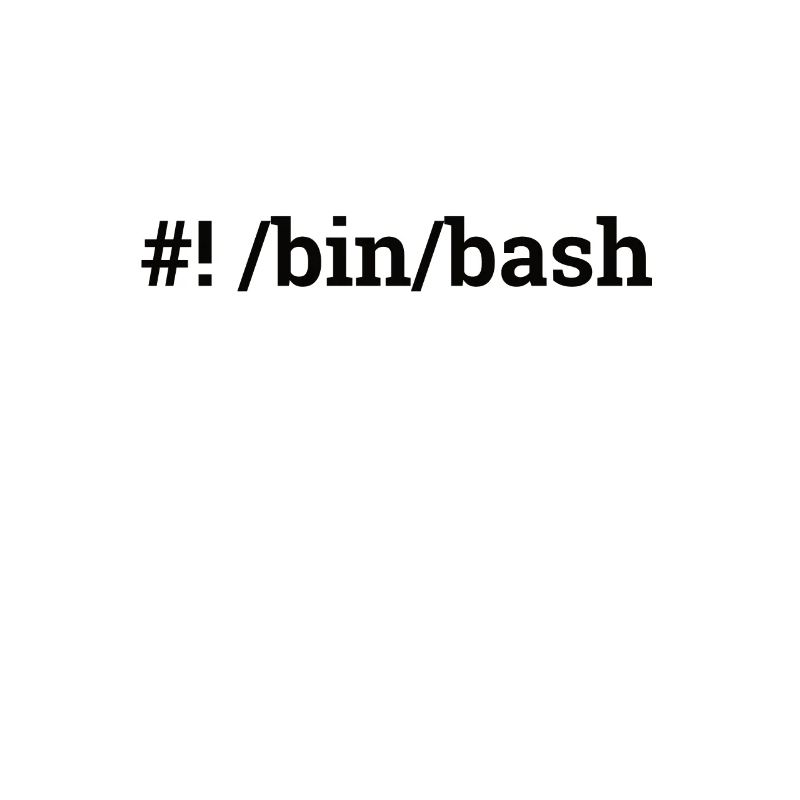 "/bin/bash" | Amministratore, Informatica