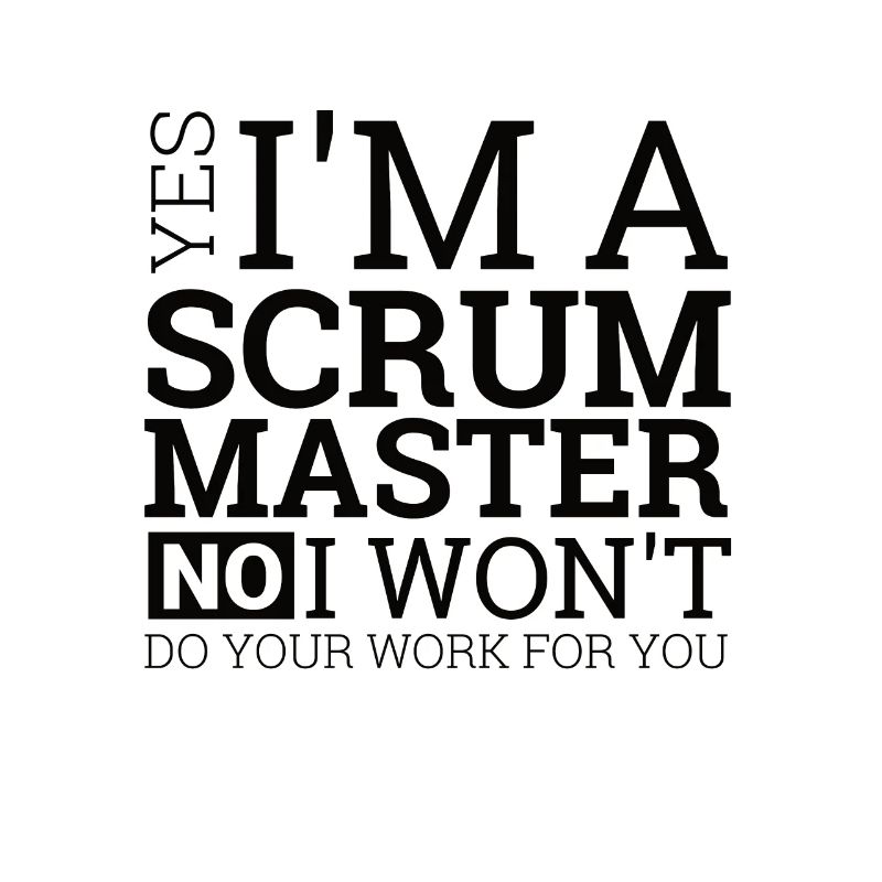"Scrum Master" | Programmierer