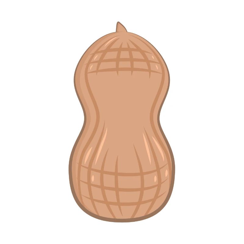 Erdnuss