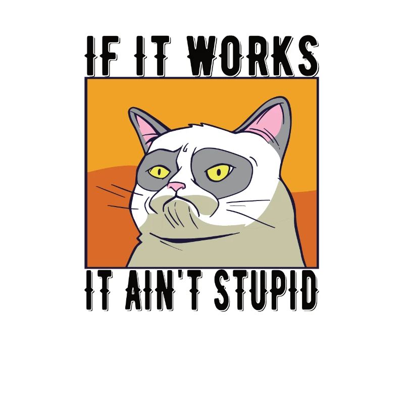Cat meme If it works it aint stupid
