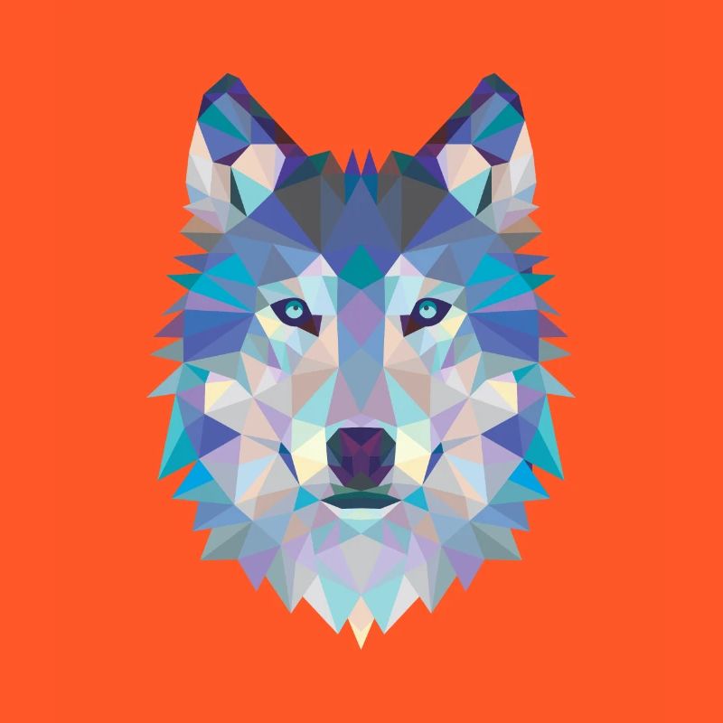 Kopf des Wolfes