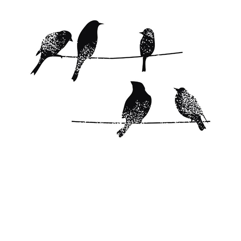 I like birds