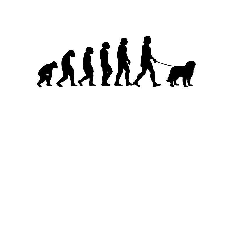 Briard Evolution lustiges Berger de Brie Geschenk