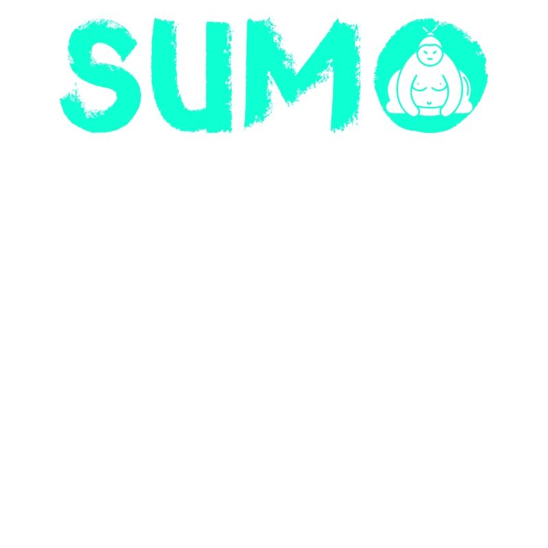 Sumo Ringer Warrior Japan