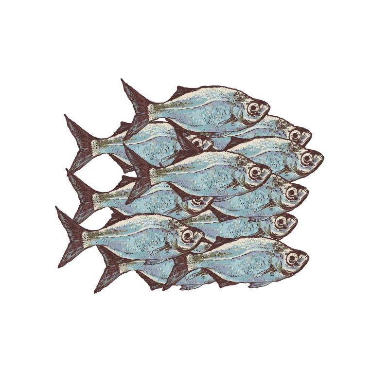 Fischschwarm