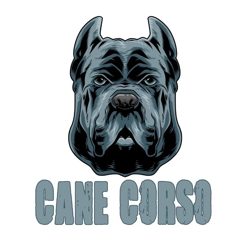Cane Corso für einen Cane Corso Besitzer Cane