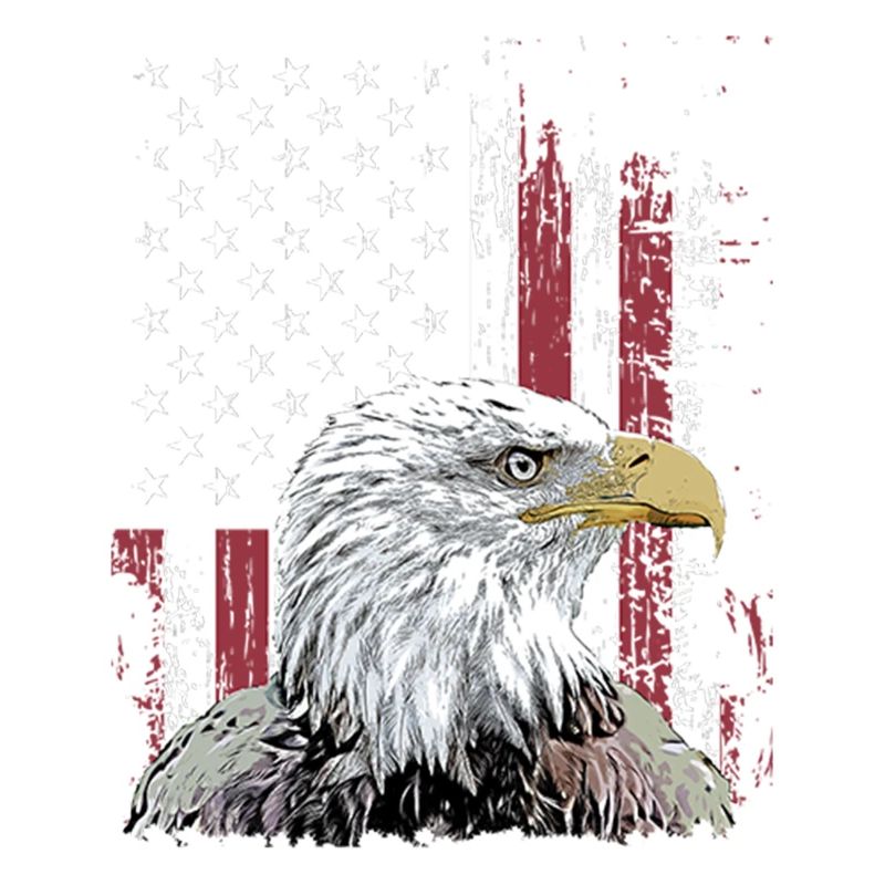Independence Eagle American Flag Eagle