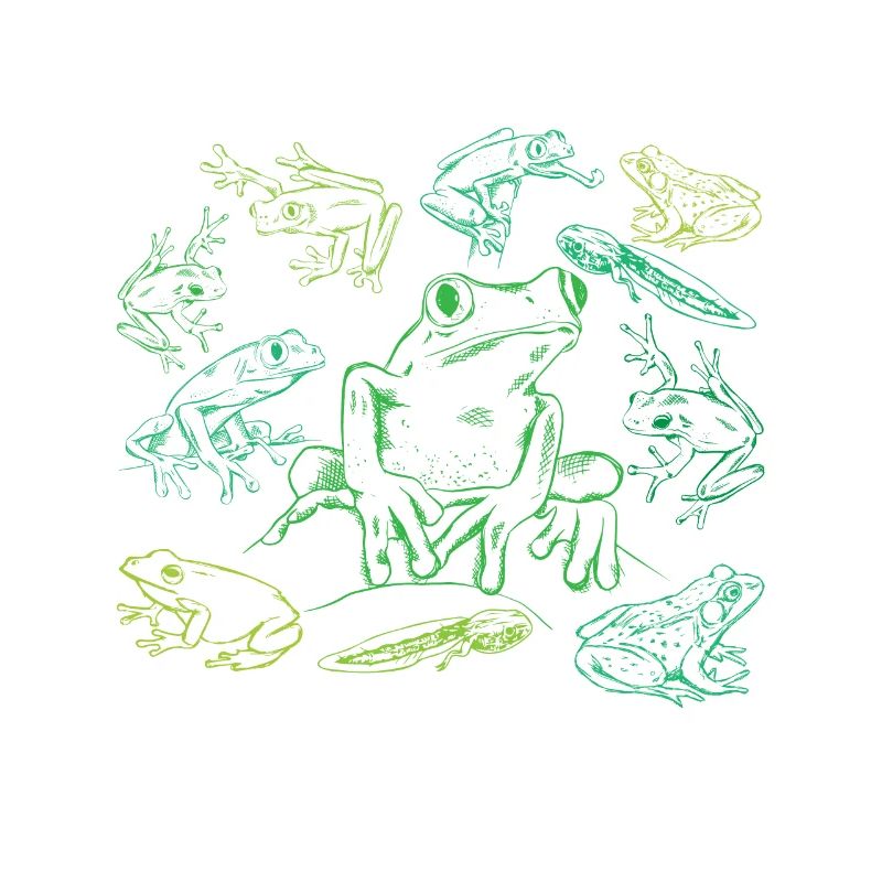 Tadpole Frog Toad Collage Frog Lovers