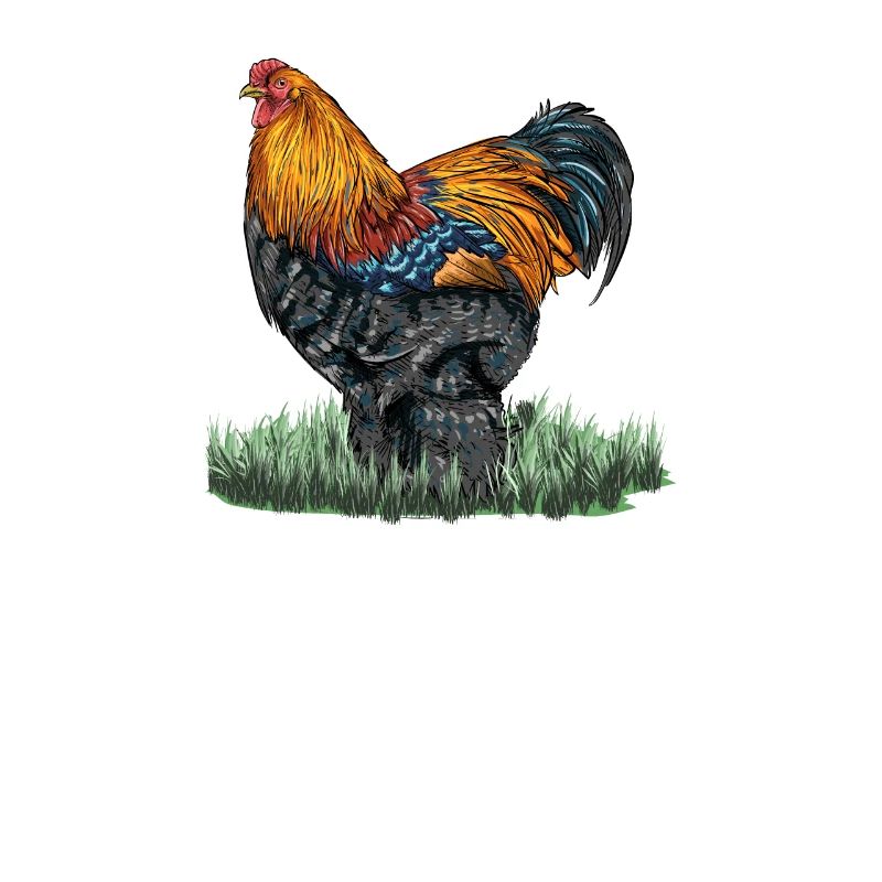 Brahma ChickenS I Chicken Poultry Motif pour