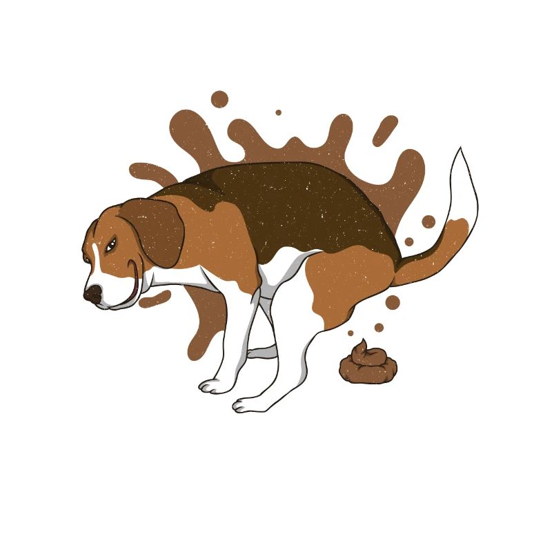 BEAGLE caca des tas de caca