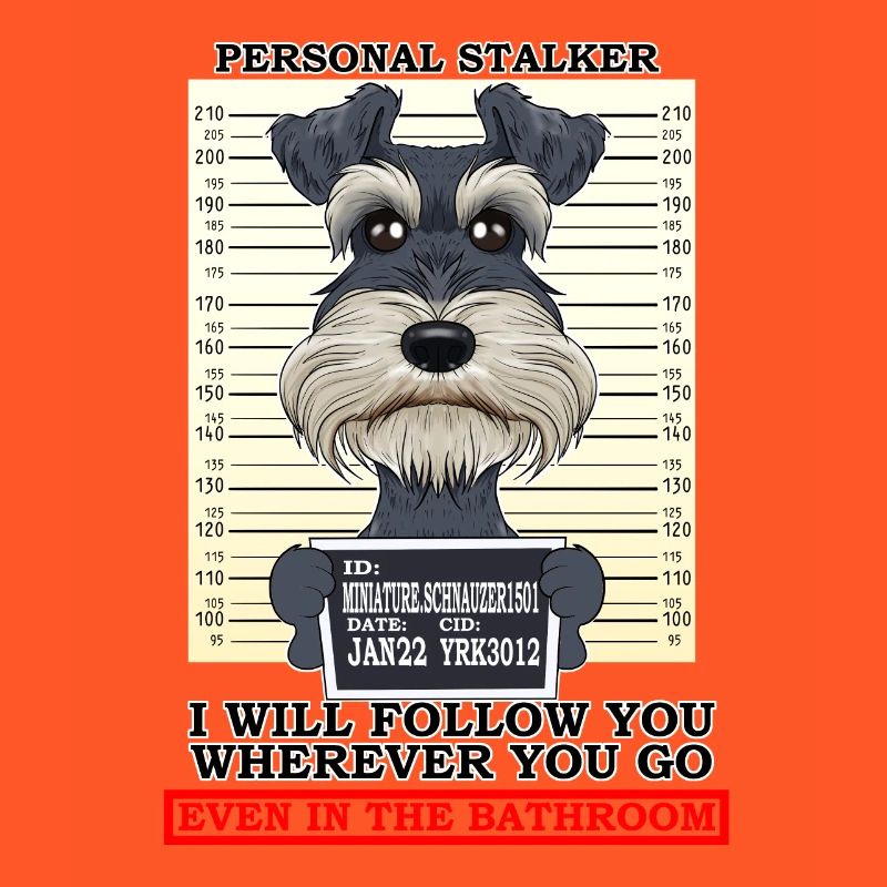 Personal Stalker Miniature Schnauzer
