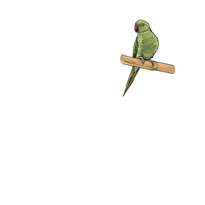 Perruche à collier I Alexander Parakeet Motif pour