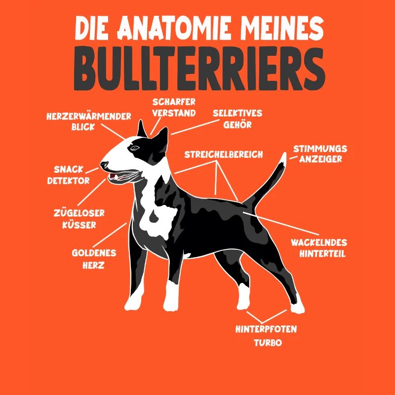 Bullterrier Anatomie witziges Hundehalter Hunde