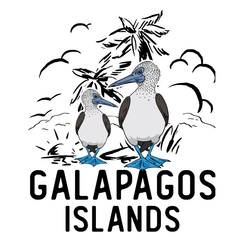 Gannets Seabirds Blue-footed