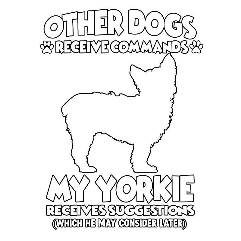 Funny Obedience Yorkshire Terrier Dog Training