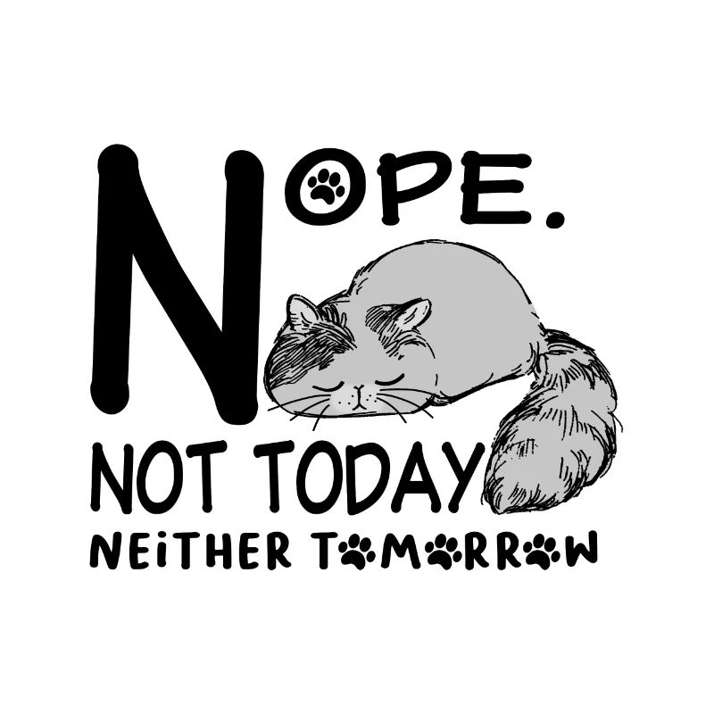 Lazy cat not today and tomorrow also non-putty