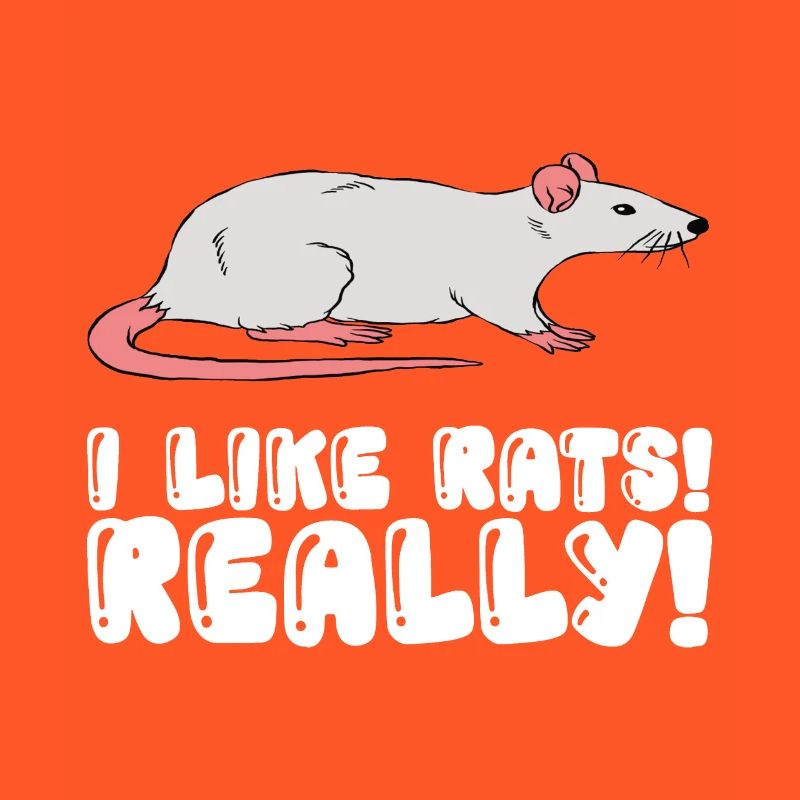 I really like rats