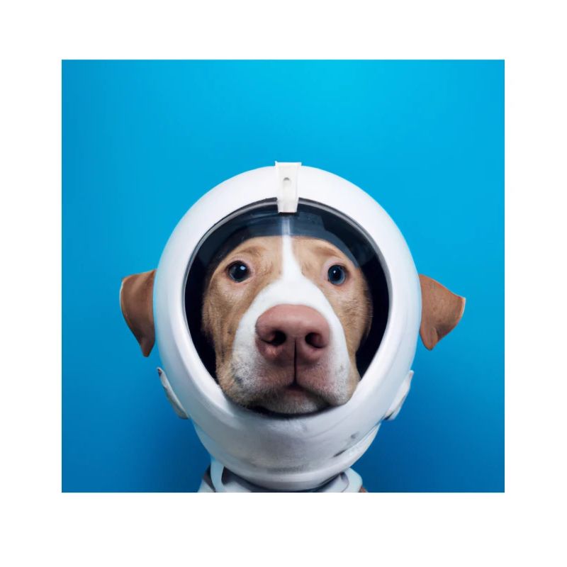 Chien dans l’espace