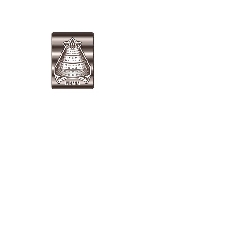 Ancient Astronaut Theory Vimana Temple