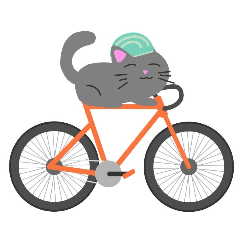 Le chat se déplace vélo