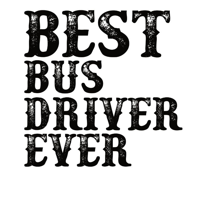 Bus driver Vocation Profession Work Gift