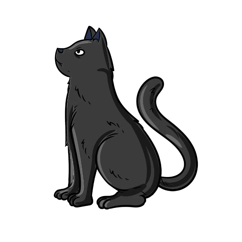 Black cat