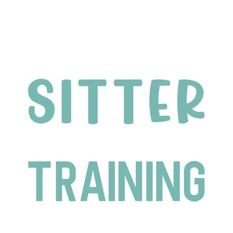 Babysitter Geschenk Babysitting Bester Babysitter