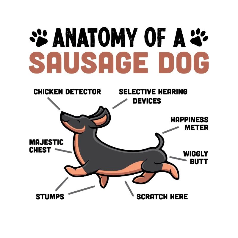 Anatomie eines Wursthundes lustiges Dackelgeschenk