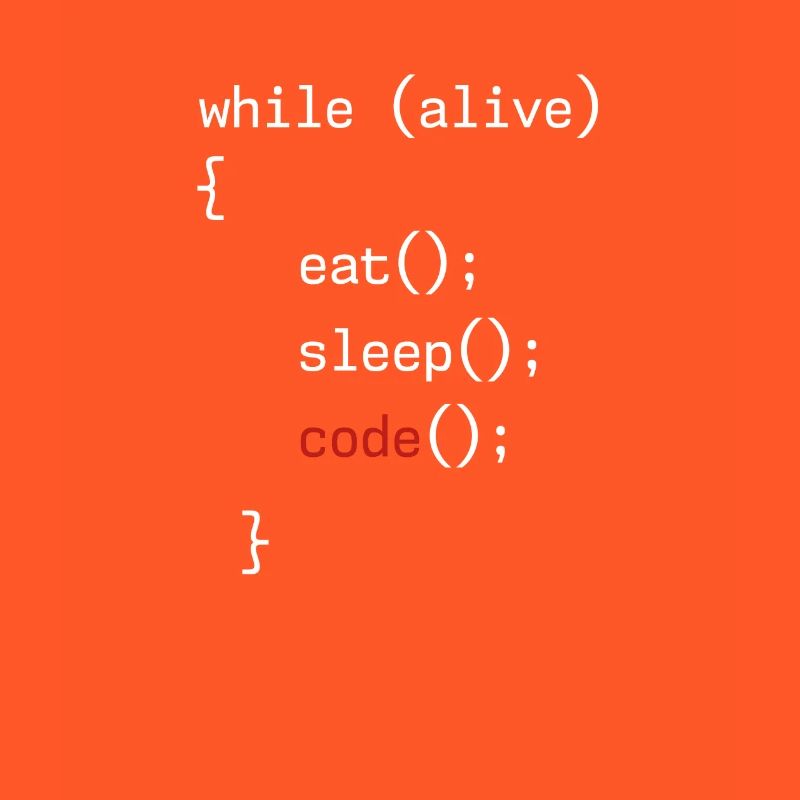 Administrator Coding Geek Programmer