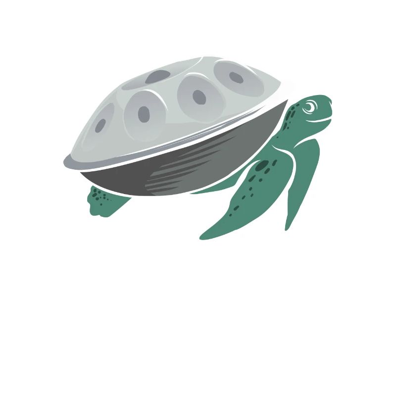 Jouer Handpan Turtle Handpan