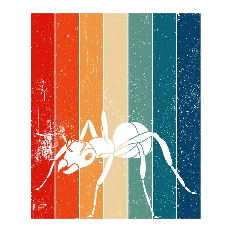 Fourmis fourmilières d’élevage de fourmis
