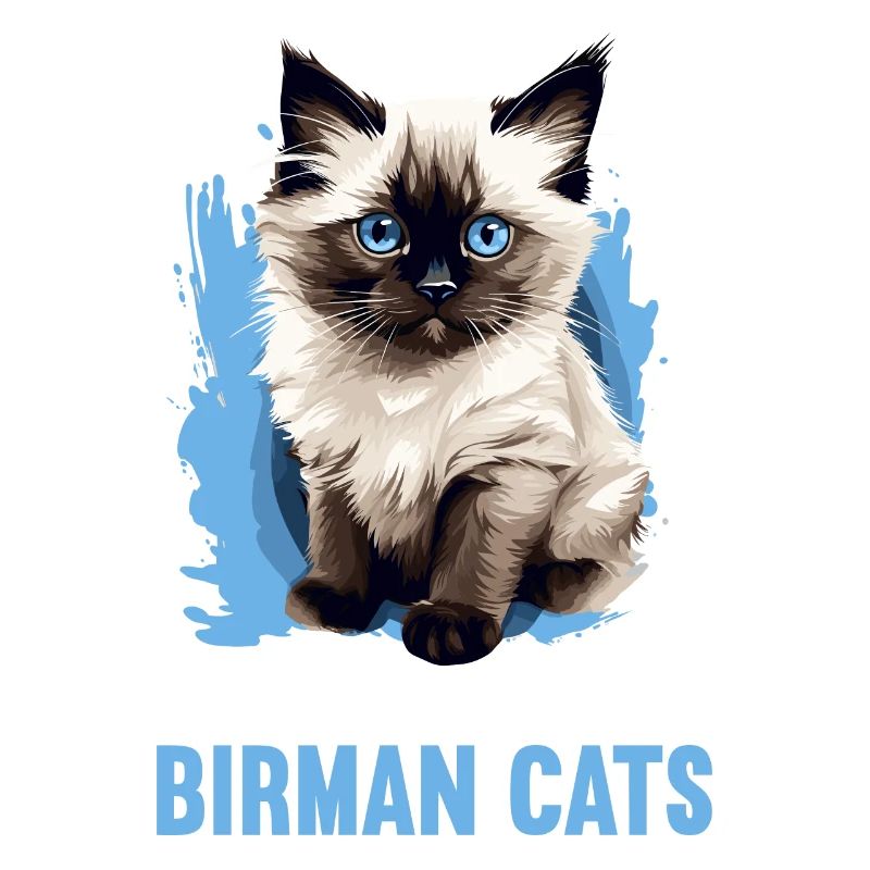 Birman Cat Birma Katze