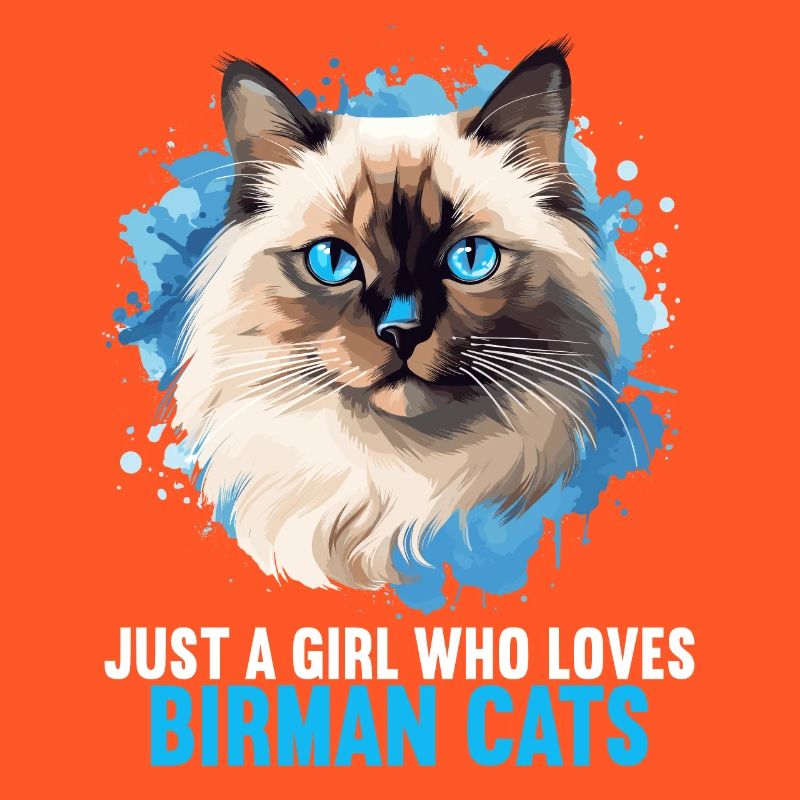 Birman Cat Birma Katze